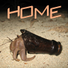 Home